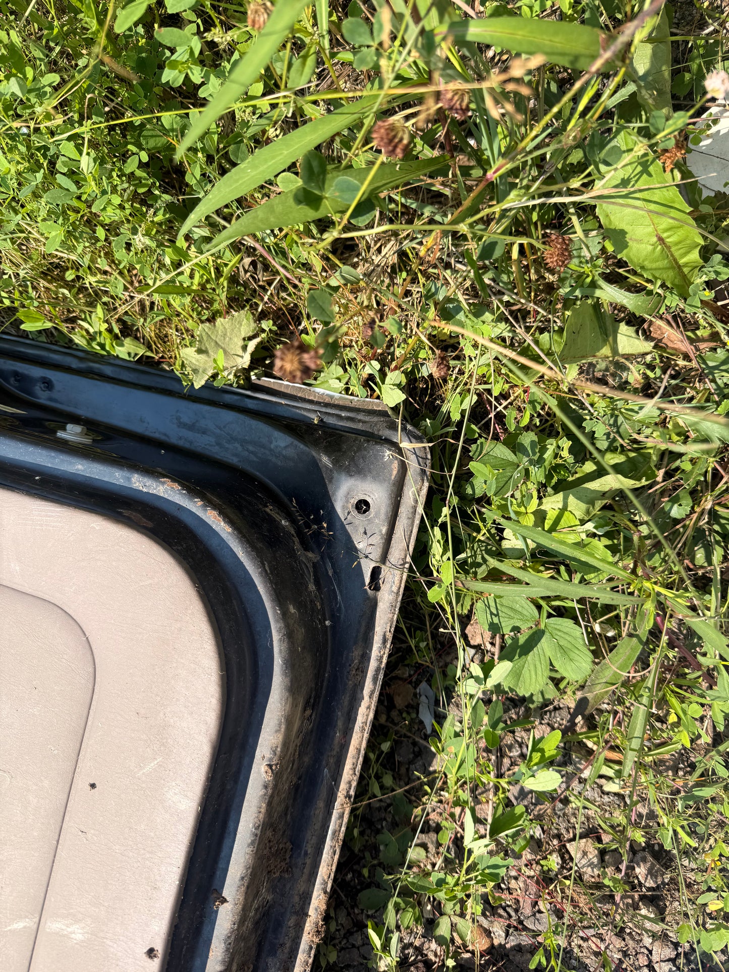 1995-2004 Toyota Tacoma OEM Front Passenger Side Door