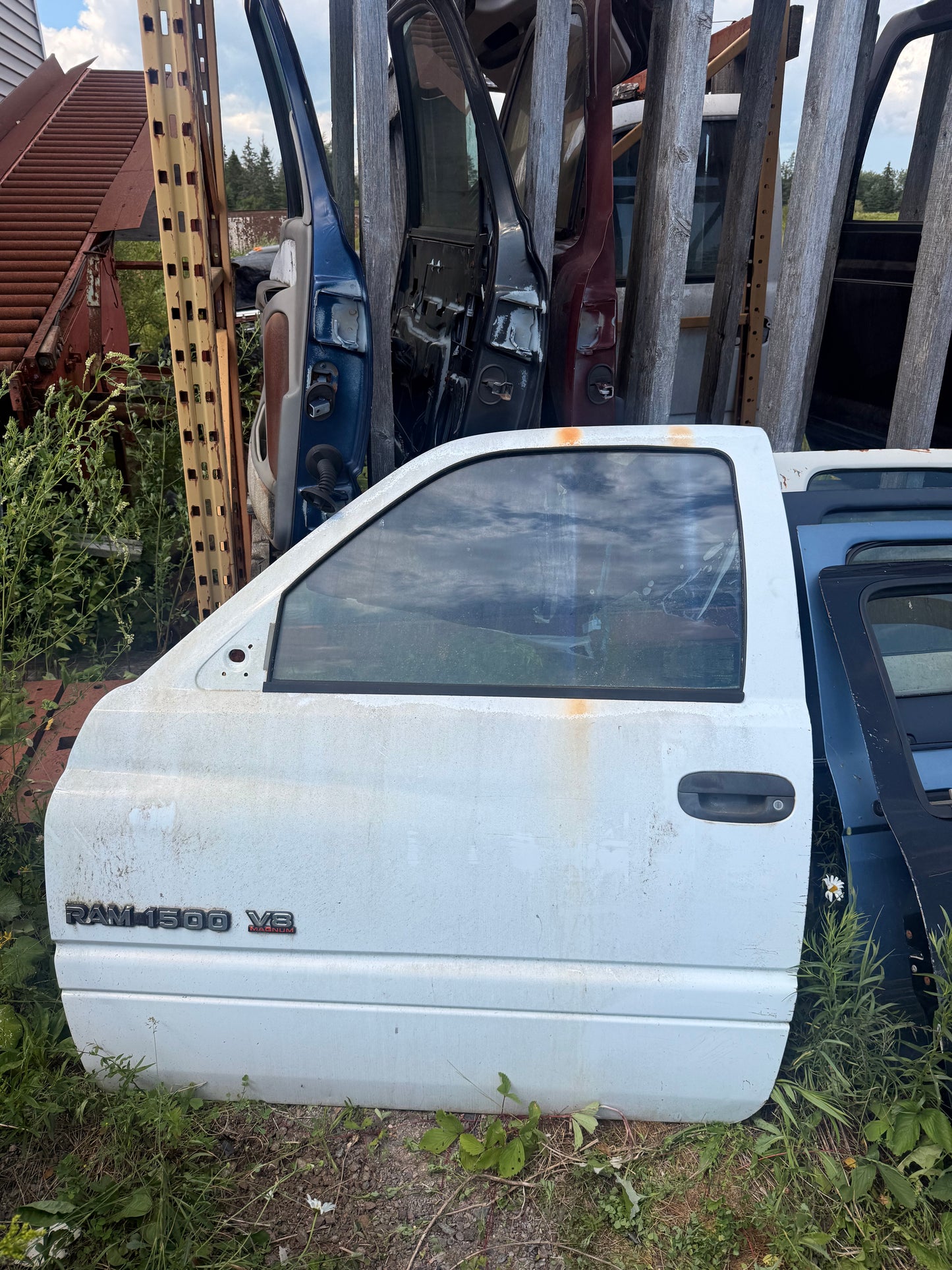 1994-2002 Dodge Ram 1500 2500 3500 OEM Driver Side Regular Club Cab Door